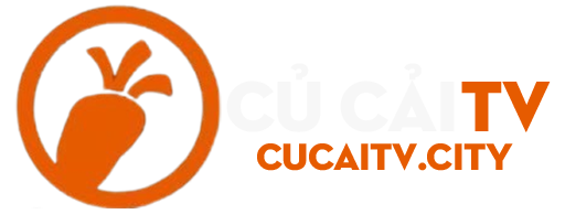 cucaitv.city