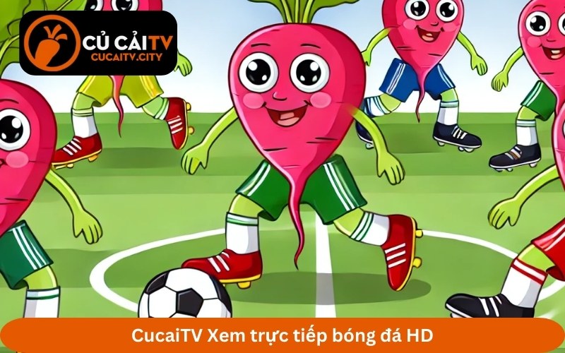 truc tiep bong da CucaiTV