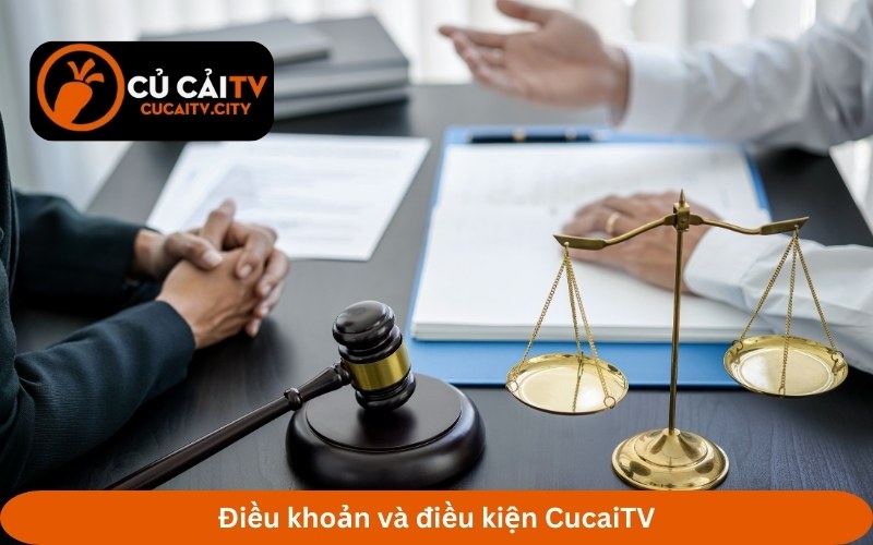 Điều khoản và điều kiện CucaiTV