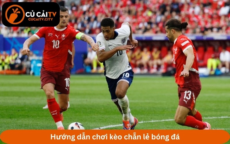 Hướng dẫn chơi kèo chẵn lẻ bóng đá