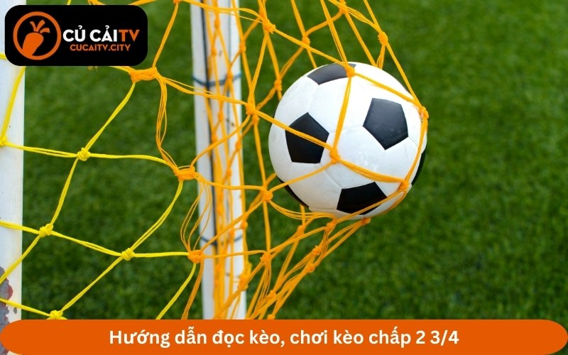 Hướng dẫn đọc kèo, chơi kèo chấp 2 3/4