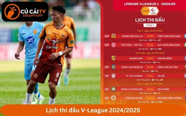 Lịch thi đấu V-League 2024/2025