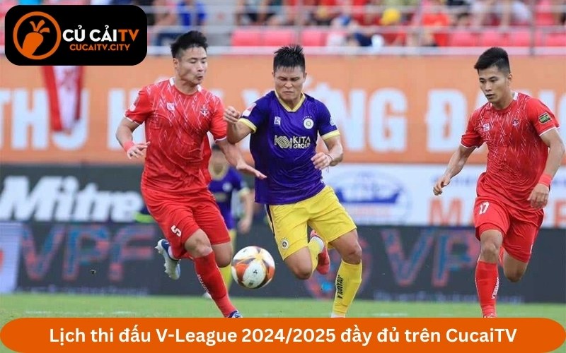 Lịch thi đấu V-League 2024/2025 đầy đủ trên CucaiTV