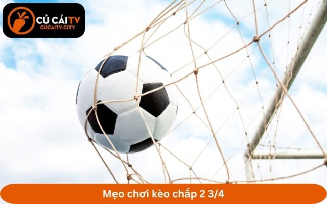 Mẹo chơi kèo chấp 2 3/4