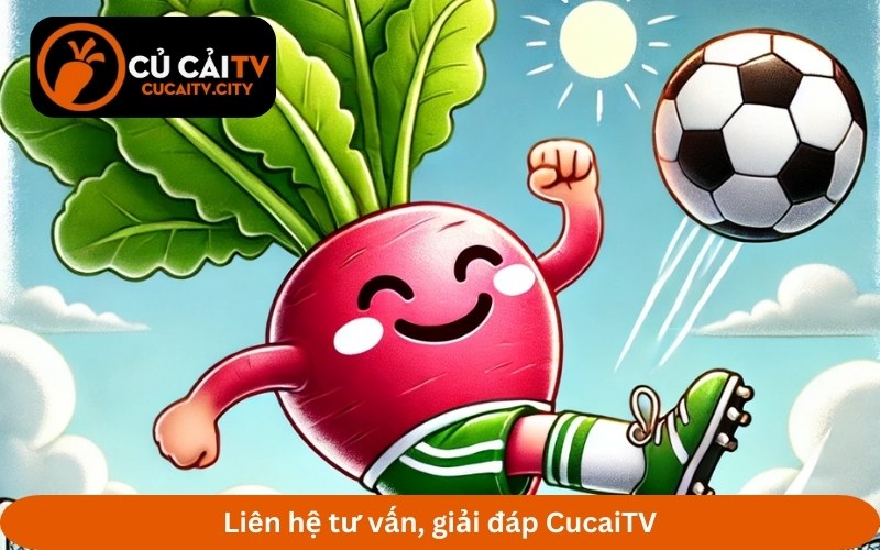 Trực tiếp bóng đá CucaiTV