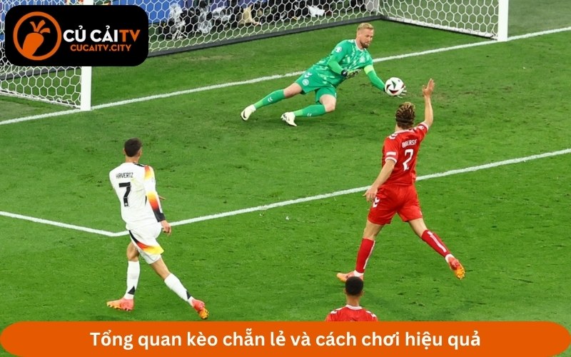 Tổng quan kèo chẵn lẻ và cách chơi hiệu quả