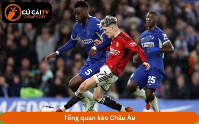 Tổng quan kèo Châu Âu