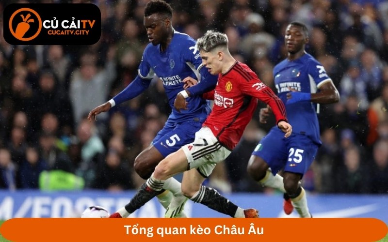 Tổng quan kèo Châu Âu